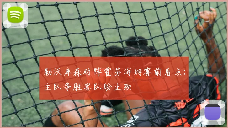 勒沃库森对阵霍芬海姆赛前看点：主队争胜客队盼止跌