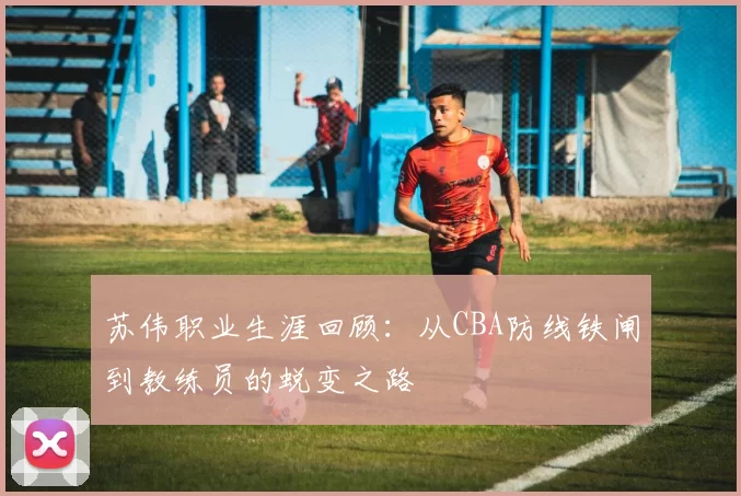 苏伟职业生涯回顾:从CBA防线铁闸到教练员的蜕变之路